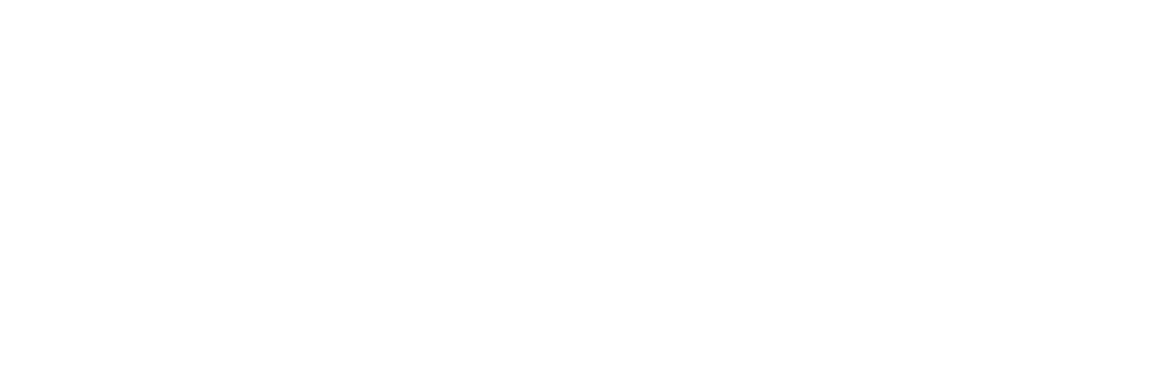 puntocerō